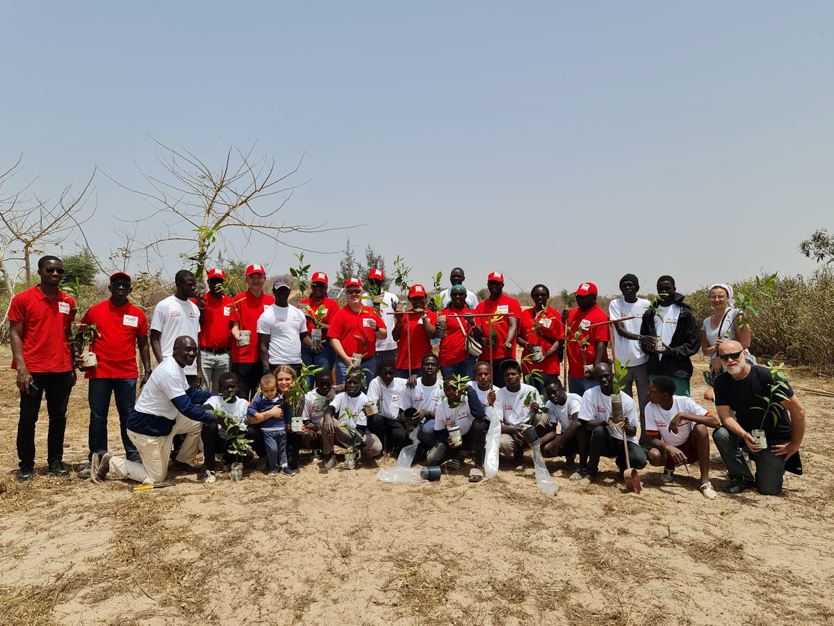 PhiPrudent's tweet photo. La #FondationTotalEnergiesSénégal soutient les associations Irrigasc (création d’activités économiques autour de la plantation d’arbres fruitiers) et Village Pilote (réinsertion des enfants de la rue) au #Sénégal. @TotalEnergies #TotalEnergiesFoundation https://t.co/2cm3W5o8Vu