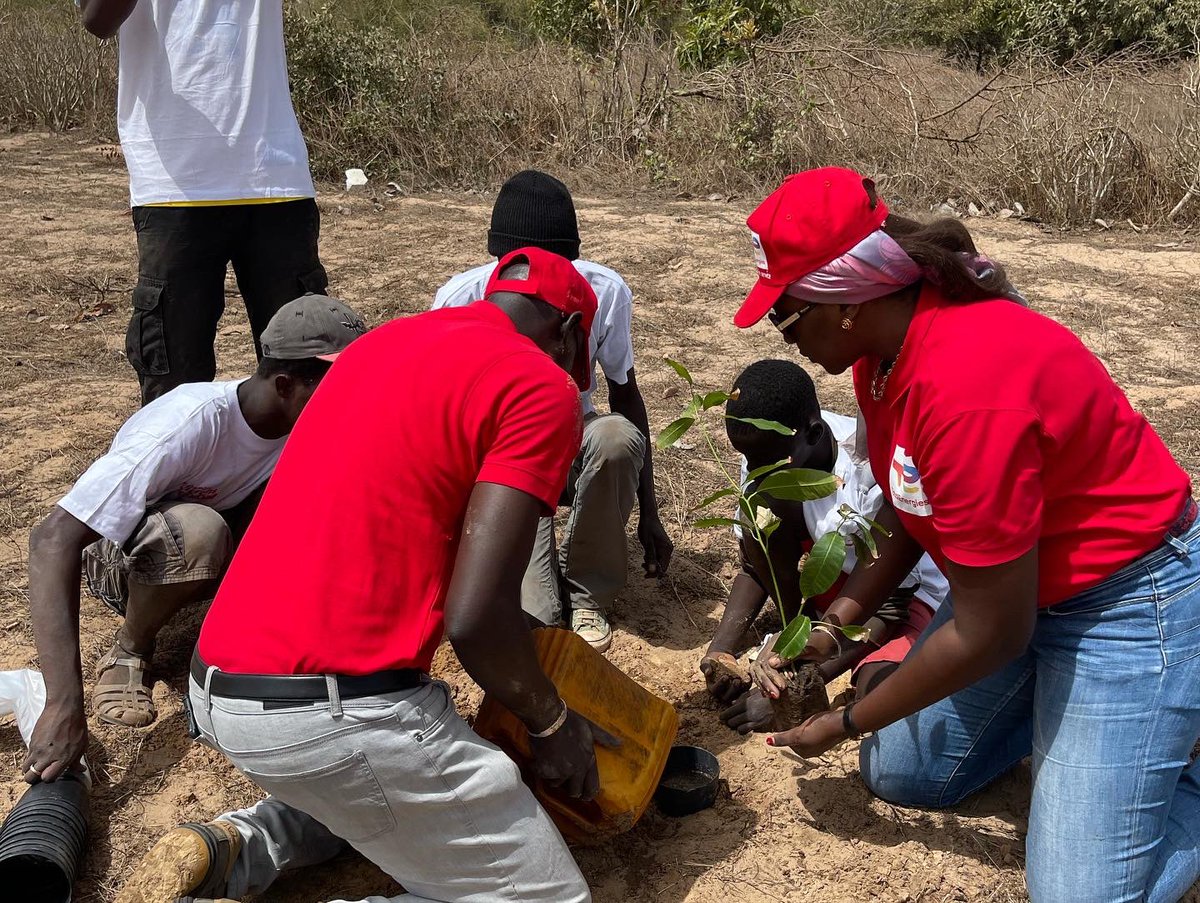 PhiPrudent's tweet photo. La #FondationTotalEnergiesSénégal soutient les associations Irrigasc (création d’activités économiques autour de la plantation d’arbres fruitiers) et Village Pilote (réinsertion des enfants de la rue) au #Sénégal. @TotalEnergies #TotalEnergiesFoundation https://t.co/2cm3W5o8Vu
