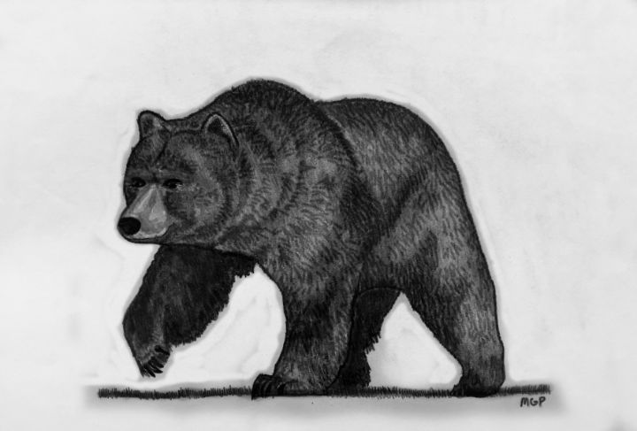 ForgeMosquito's tweet photo. New art for sale! "Grizzly Bear Sketch". Buy it at: https://t.co/UvSB0fy7c5 https://t.co/SgJDRVeyso