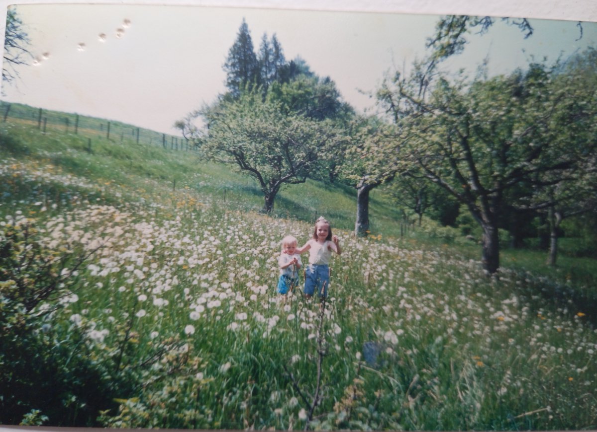 PinmoreLow's tweet photo. Rediscovered this old photo from my childhood. Kudos to our neighbours in Germany at that time for having absolutely no fear of dandelions. Grateful for the inspiration #lifegoals #PerfectforPollinators #wildflowers 🦋🐛🐝🐞🪰 https://t.co/dyHAfn9NWT
