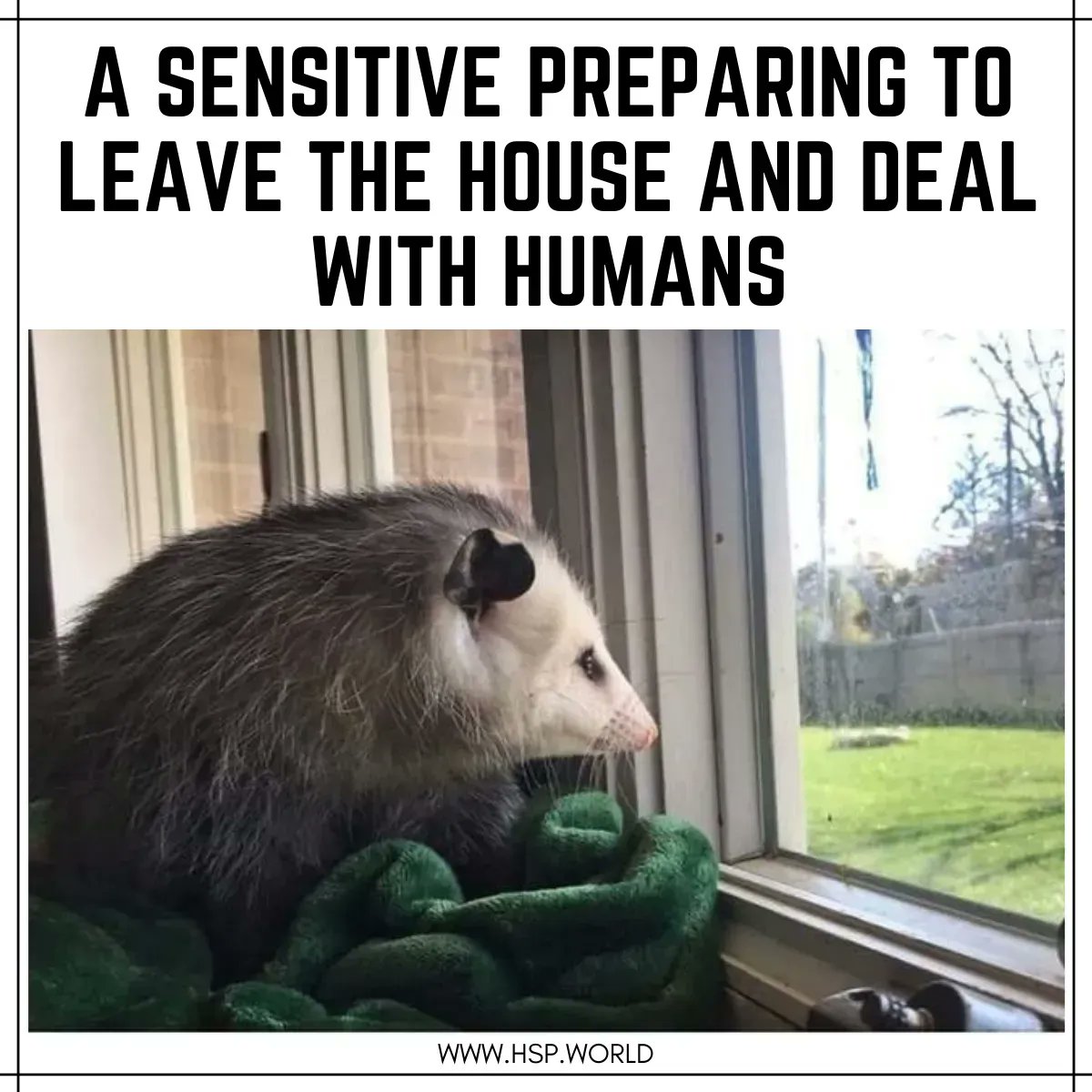 🤣

#HSP #highlysensitiveperson