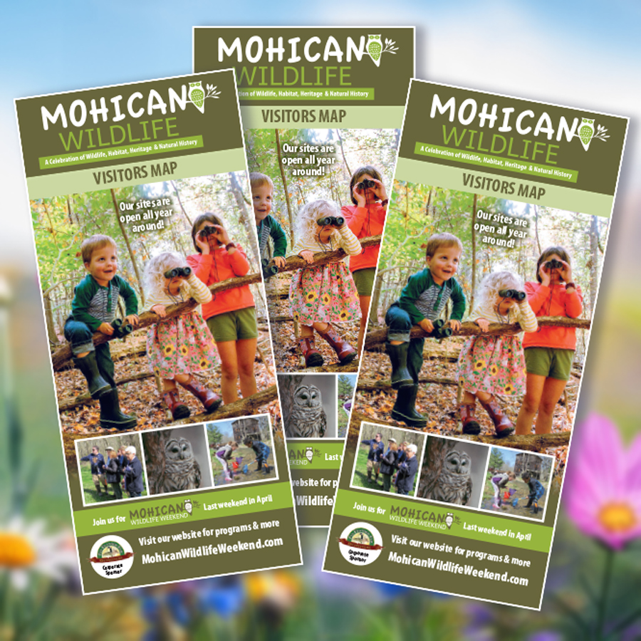 henleygraphics's tweet photo. Mohican Wildlife Weekend is just around the around. Have a picked up the new visitors map? You can find one at these locations: https://t.co/8oGx8fDRR6
.
.
.
#henleygraphics #publishing #graphicdesign #printing #mohicanwildlifeweekend https://t.co/V46557zRka
