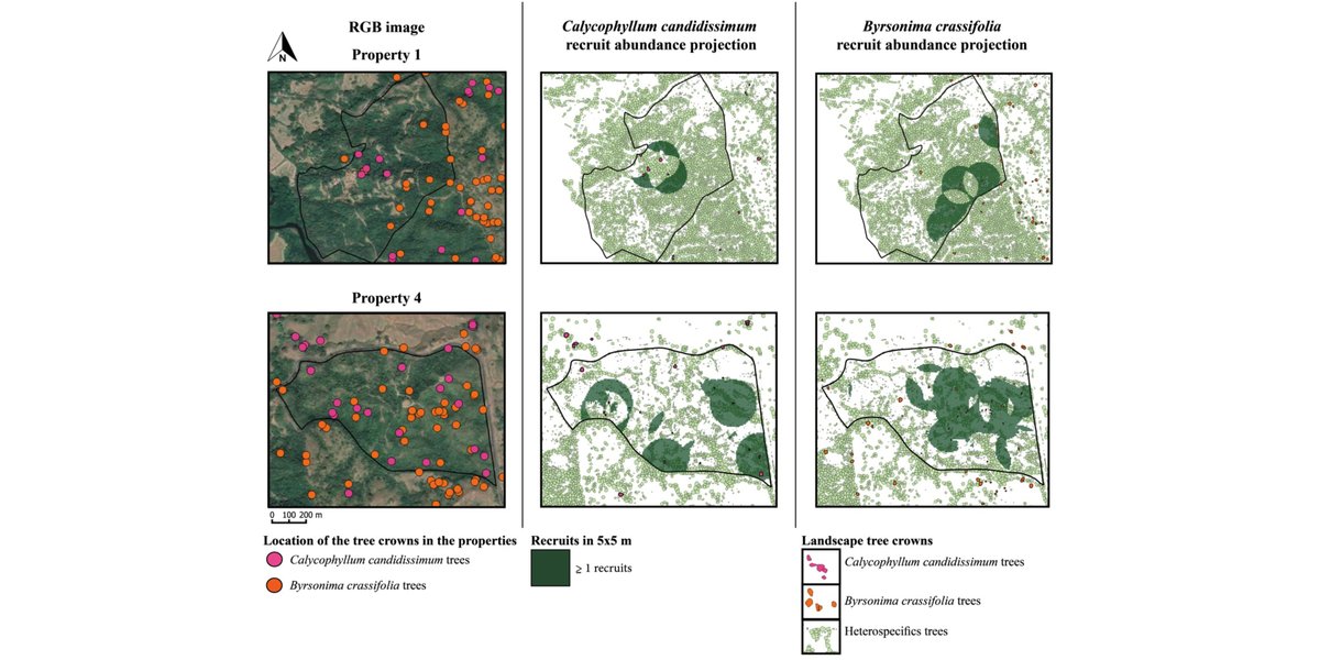 ESAApplications's tweet photo. New in @ESAApplications:

Species-level tree crown maps improve predictions of tree recruit abundance in a tropical landscape

https://t.co/tfut1JiqYu

With #OpenData in @datadryad

#ForestRestoration
#TreeRecruitment
#RemoteSensing
#NSFFunded @NSF https://t.co/1nmlMFqDPr