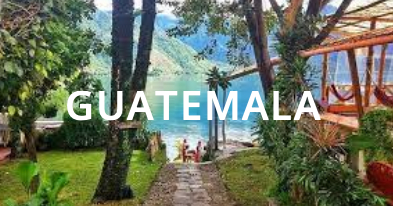 STEAM Abroad Inc tweet media