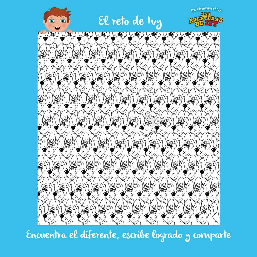 Encuentra el 🐶 diferente, escribe logrado y comparte. 🤠👇