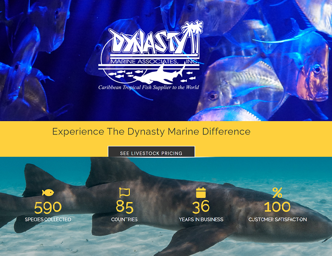 RegretfulPirat1's tweet photo. #WorldAquaticAnimalDay There are Other Commercial Fishing Industries They Don't Talk About. #DieNasty
X-Customer #Unsatisfied @RegretfulPirat1 #DiverDone #DarkHobby https://t.co/yj1s7f8jWv