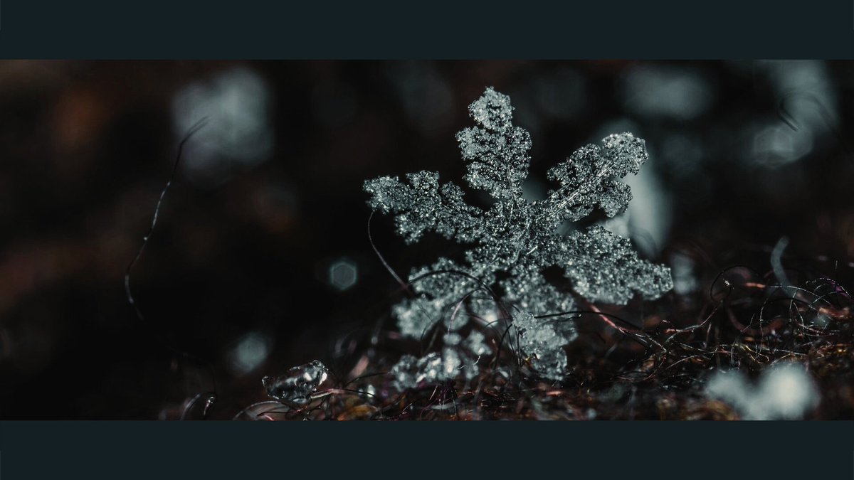 Write_HiRead's tweet photo. 🔸️• WriteHiRead •🔸️

    [ OS / SF ] GOT7
°• SF •° CURSE || Jinyoung &amp; BamBam ¤▪︎Part 1

📎 ลิ้งก์อ่าน :: https://t.co/SUsDJu7le4

🌷 #JinBam #จินแบม 
#GOT7 #ฟิคGOT7
@FICGOT7Thailand
#WriteHiRead https://t.co/KPw1RtfMkp