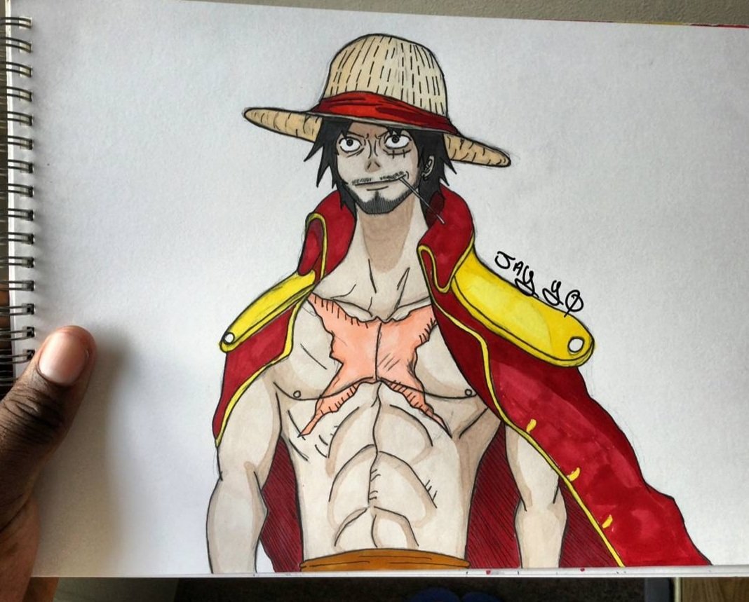 Grown up Pirate King Luffy