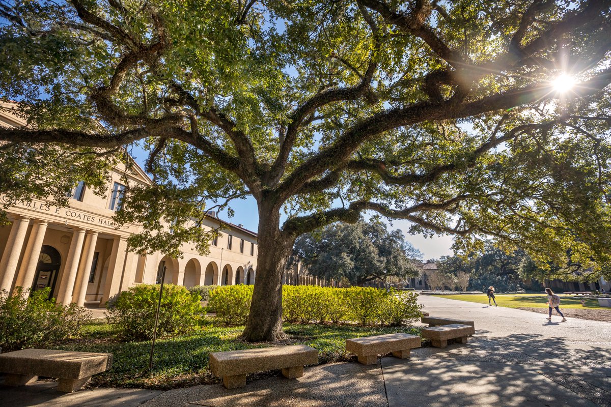 LSUNews's tweet photo. #LSU awards Tom W. Dutton Scholarship to 12 students, presented to female students for outstanding service https://t.co/VZNTiEMLcQ #GeauxTigers https://t.co/mpGe1xIJJN