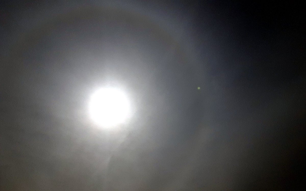 wfinalle57's tweet photo. Apr 4, 2022 10:02:28 AM
Very early in the day for this to manifest.
The real #globalistpsychopaths Corona Virus
#Pennsylvania #chemtrails #startlookingup https://t.co/nnCwbuAbLL