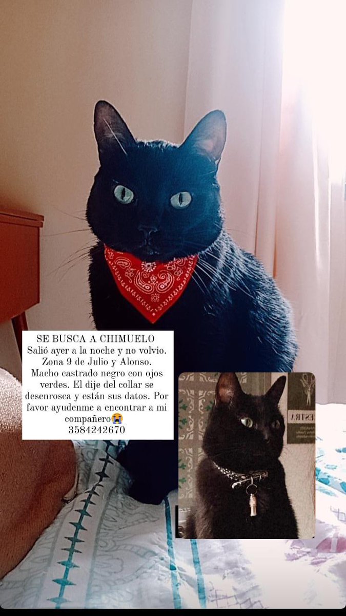 Mi compañero hace 8 años... Por favor ayúdenme a difundir