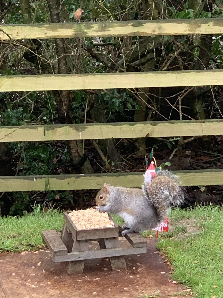 Stephanie tweet media