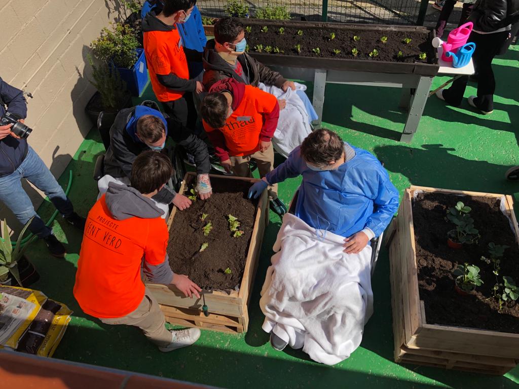 thaubarcelona's tweet photo. Fruit d’un conveni de col•laboració amb @vallhebron per a la dinamització del seu hort terapèutic, alumnat de #3rESOThauBCN i #fentverd, han plantat amb pacients de l’hospital maduixes, enciams i espinacs. #escolessostenibles #bbactivities #camisetasandco #afathaubcn https://t.co/lpiDDAixxD