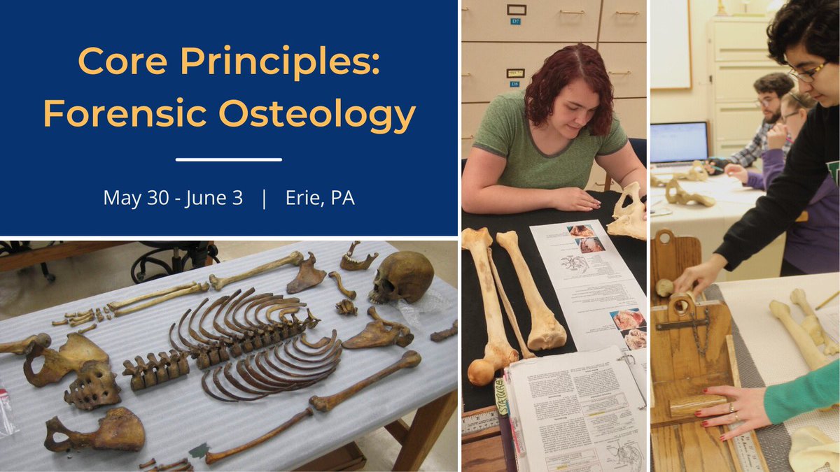 forensics_hd's tweet photo. Join us for our Forensic Osteology course this May 30-June 3! Check out https://t.co/92WFkAGOVf for more info and to register! #anthropology #forensics https://t.co/LIUWDhWXct