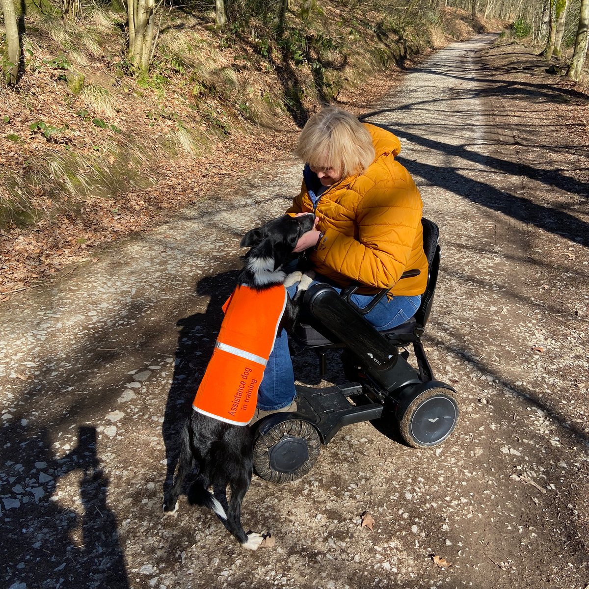 TGAmobility's tweet photo. We're proud to be supporting the launch of 'Access the Dales' where they will be offering all-terrain mobility products to borrow in multiple locations across the Yorkshire Dales to ensure everyone can enjoy a great day out, whatever their capabilities. https://t.co/3NdrL6TxGE