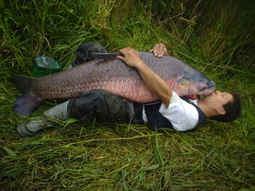 droledebuzz's tweet image. Ah, l'amourrrrrrrr