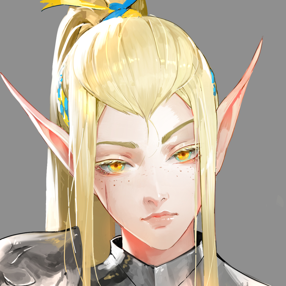 「Síloril Catarina 
High Elf - Fighter

'C」|NikuSenpaiのイラスト