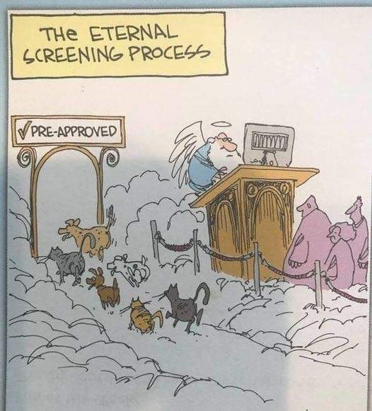 1055rock🤘 tweet media