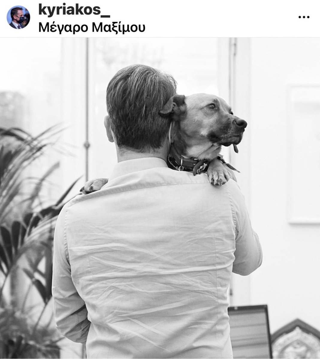 KostasVaxevanis's tweet photo. Αγαπητέ @kmitsotakis , οι φωτογραφίες με το σκυλάκι, δεν μπορούν να συμβολίσουν επικοινωνιακά τίποτα πλέον για εσάς, εκτός ίσως από την ικανότητά σας, (ίσως λέω), να ταΐσετε ένα σκυλάκι. Για πραγματικούς συμβολισμούς πάρτε μια ύαινα. https://t.co/iF7lZQUlnw
