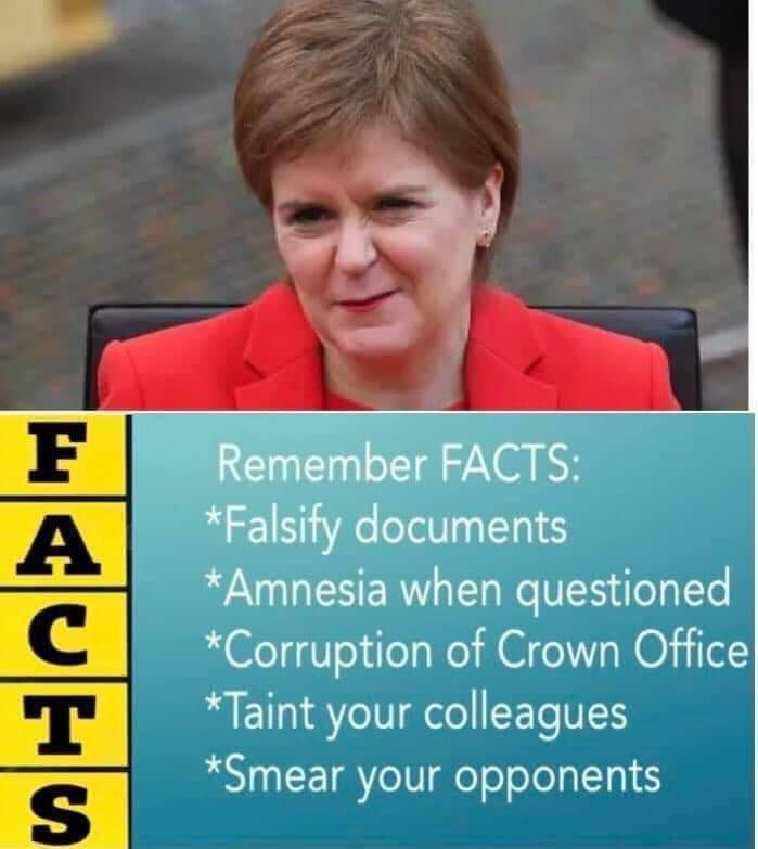 FlyFifer tweet media