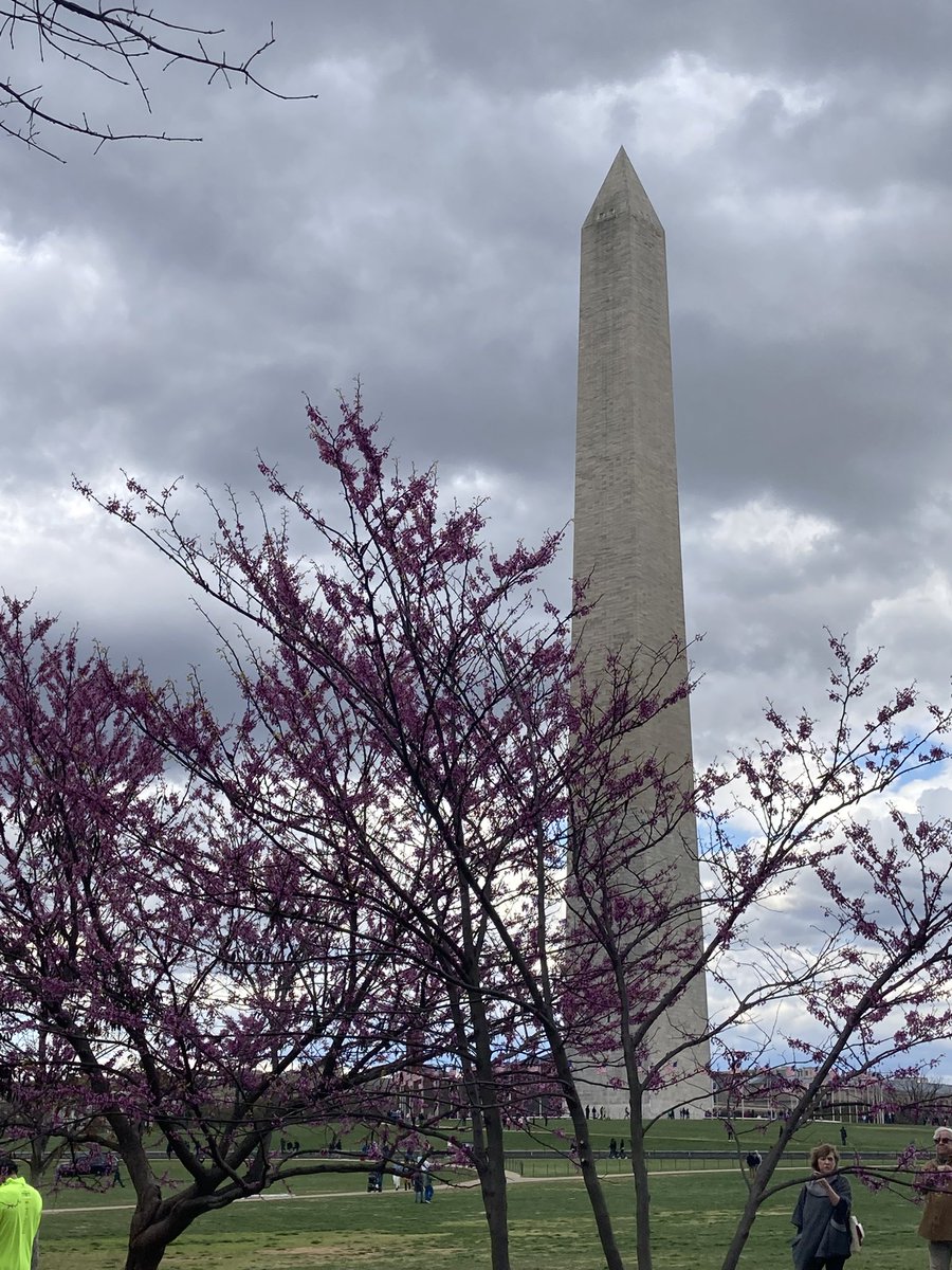 lisamnRD's tweet photo. I am in DC representing the MN Chapter for @espnational at the 2022 Public Issues Leadership Development #PILD conference. Looking forward to meeting #extension colleagues from across the US https://t.co/lWxHr00RmW