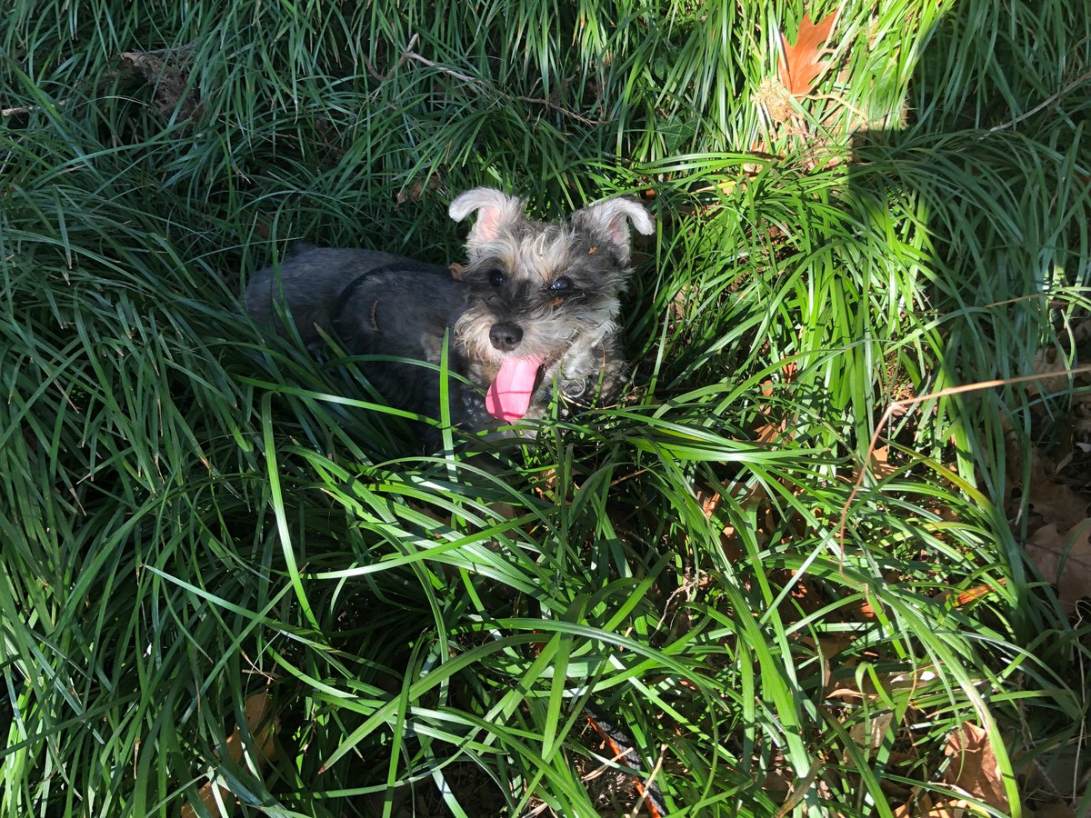 anmillermath tweet media