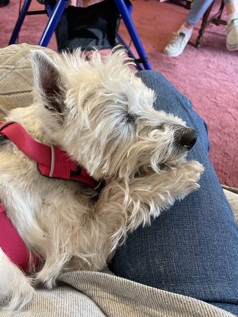 AbbeySpeaks tweet media