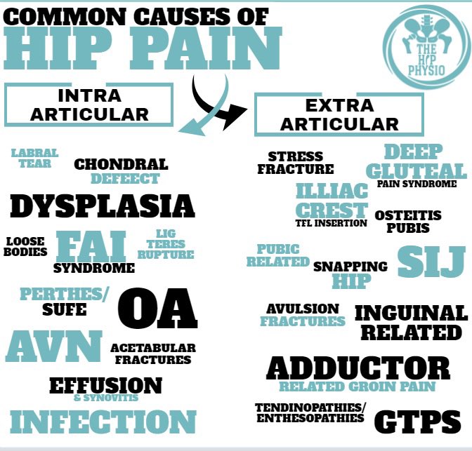 Mehmet Gem | The Hip Physio tweet media