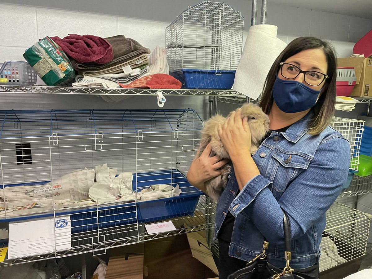 Thank you to my friend <a href="/JoanneSoave/">Joanne Soave</a> and the crew from <a href="/WaveDirectHQ/">WaveDirect 👋</a> for donating a new Laptop for our intake department! They spent the morning with some furry friends. 

Second Chances Happen because of you at <a href="/windsorhumane/">Windsor Humane</a>. 🐈🐕🐾🦴