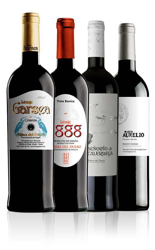 BurgosAlimenta's tweet photo. Hoy brindamos desde Aranda de Duero con los vinos de @LGarsea.
Una bodega familiar en el corazón de la Ribera del Duero.
¡Feliz lunes!  🍷

🛒 https://t.co/KN7zIVPzuF https://t.co/NEdqGV1d9A