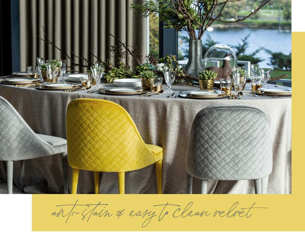 thescalamandre tweet media