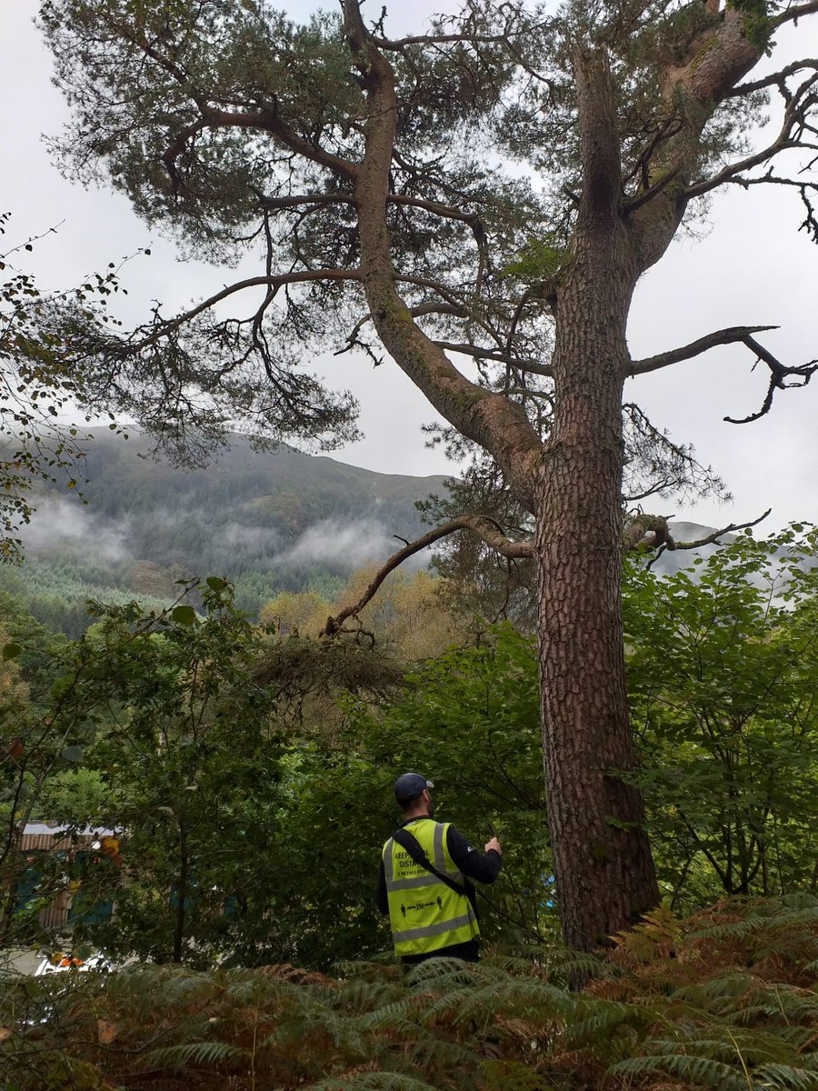lomondtrossachs's tweet photo. We have exciting and rewarding opportunities to work in one of the most beautiful and scenic landscapes in the world:

Land Operations Officer
Land Operations Assistants
Environment Officers

Closing Date: 7th April 2022 @ 9am
https://t.co/ktqbJoqCOk https://t.co/pyLovsOtpA