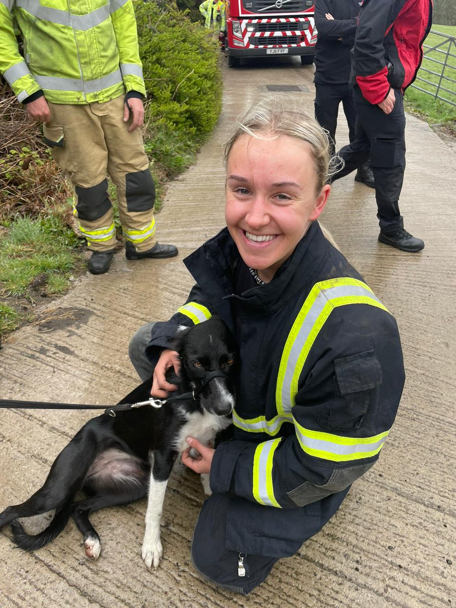 WYFRS's tweet photo. Paw-some work!
Today Cleckheaton White Watch rescued 13 month Collie Lexi who was 5m down a 20m cliff! 
Many of our firefighters are trained in animal rescue #NotjustFires 
The specialist rope rescue crew used a 2-line system &amp; animal rescue bag.  See pics here
🐶👨‍🚒❤️‍🔥 https://t.co/fDtPLIyRU4