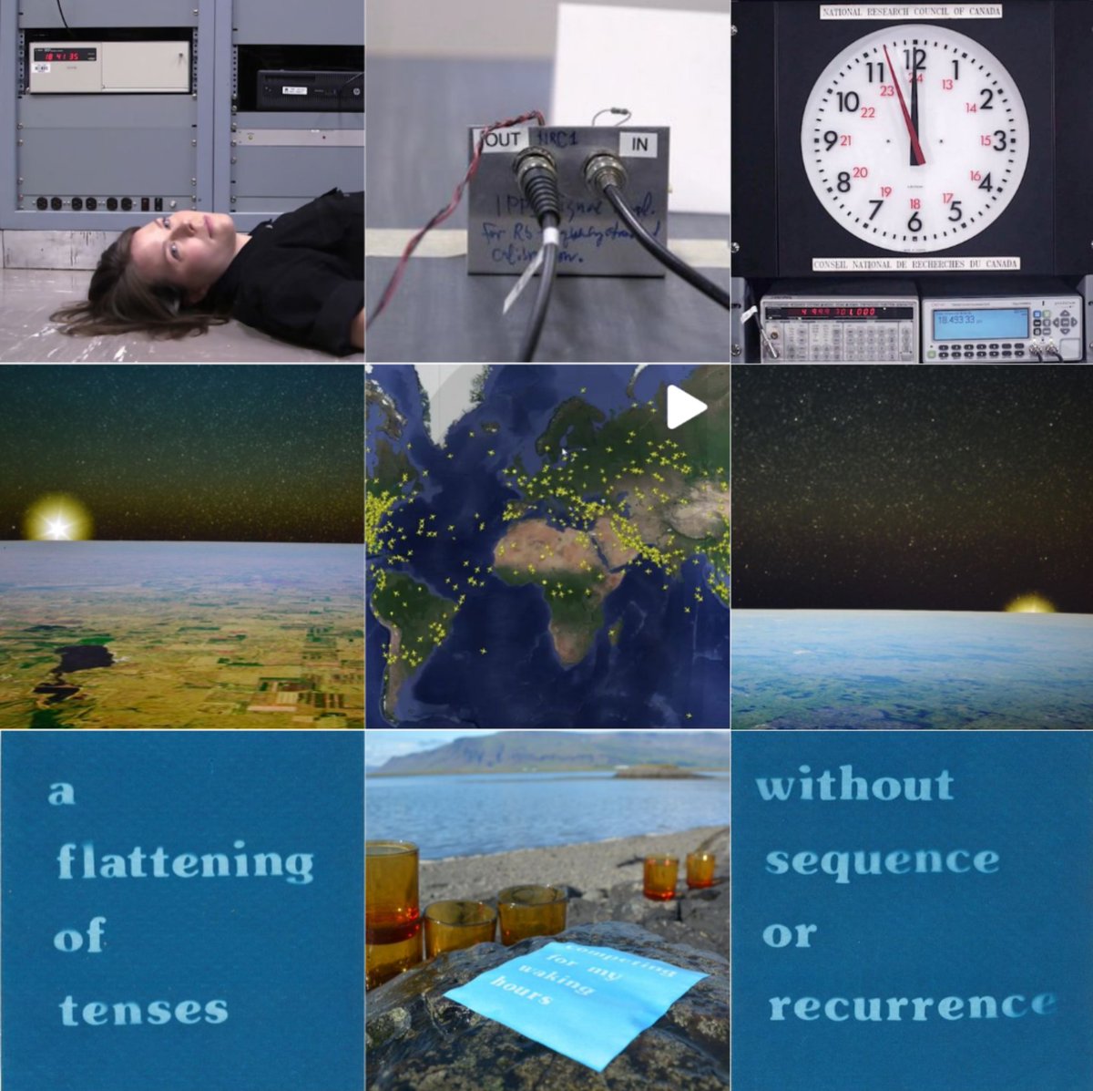 Emily DiCarlo tweet media