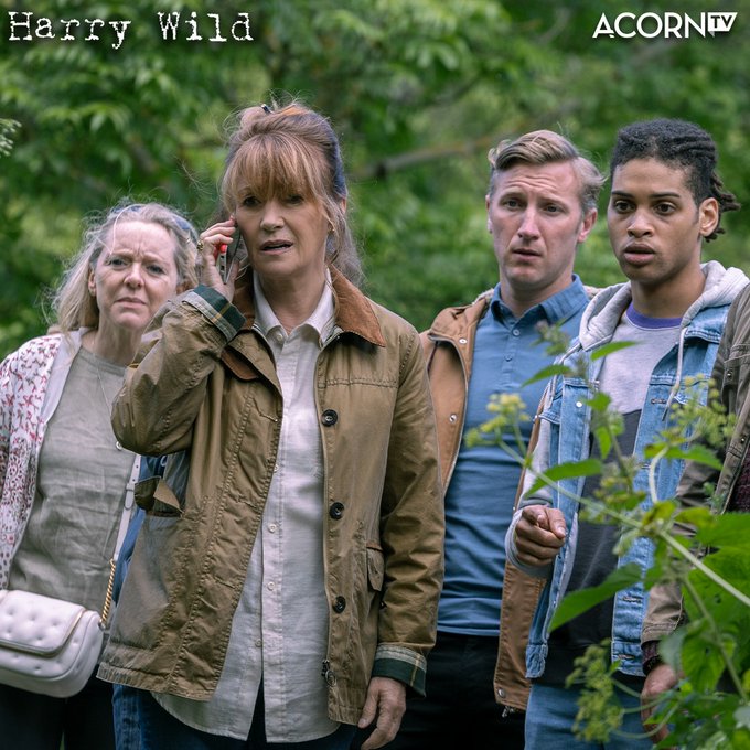 🌟Stream Now @AcornTV Series Premiere #HarryWild w/ #JaneSeymour @NeddRohan @KevinRyanII #StuartGraham @amyhuberman #RoseOneill @OCallaghanCiara @AnthonyPDelaney About bit.ly/3uAfmRQ