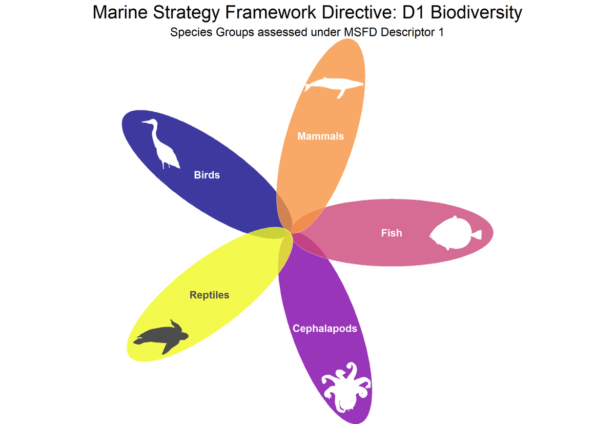 dosullivan019's tweet photo. #30DayChartChallenge #day4 #flora Flower chart to show the species groups which are used to assess D1 Biodiversity under the Marine Strategy Framework Directive

@MarineInst #marine #marinedata #MSFD #data #r4ds #RStats #dataviz

Code: https://t.co/Bowpw8bPyS https://t.co/1fWAEzBpJ1
