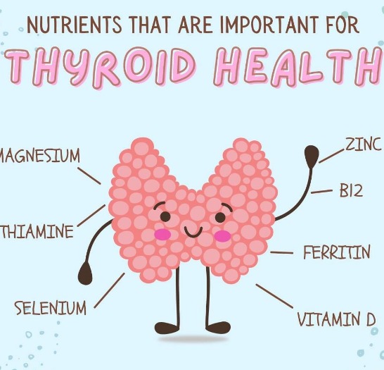 thyroidgroups's tweet photo. Your thyroid needs a lot of care 💗
The right supplements can make it work at its best and can make a world of a difference in its overall health 🤗
#thyroid https://t.co/C09jlsATkZ