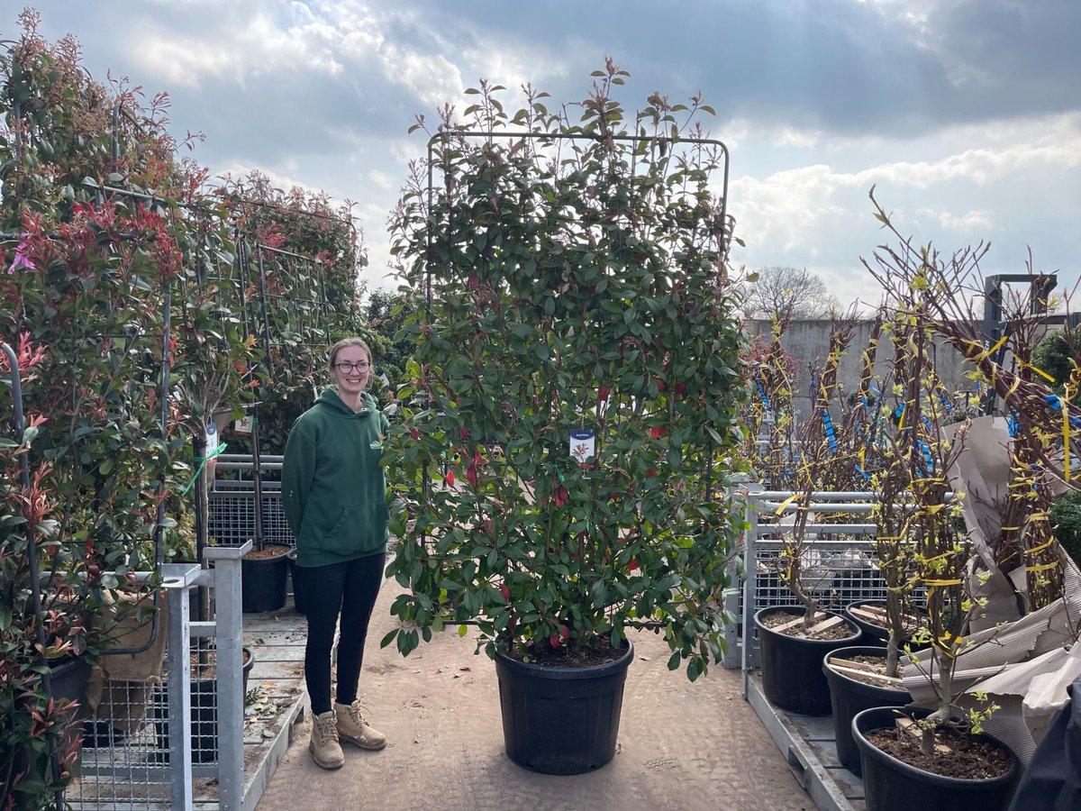 Grasslands Nursery tweet media