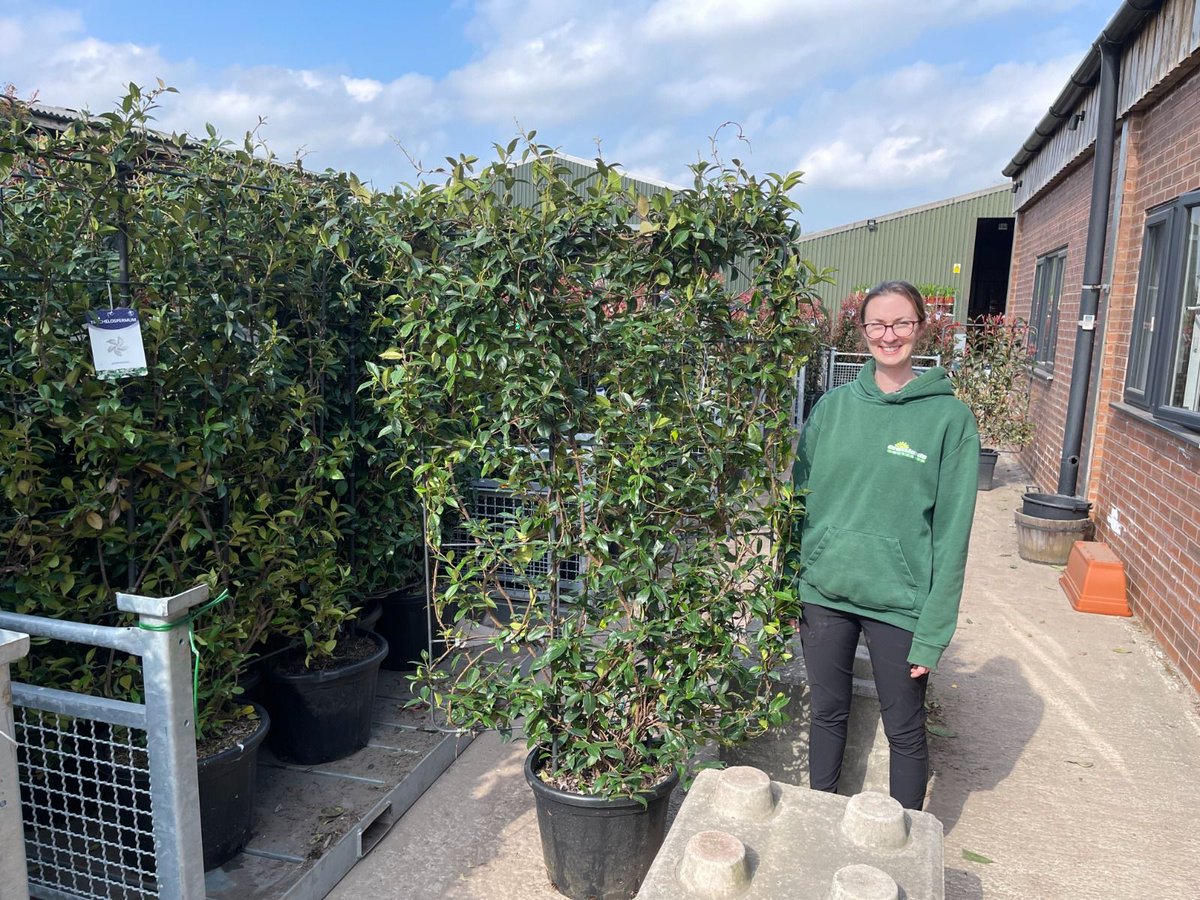 Grasslands Nursery tweet media