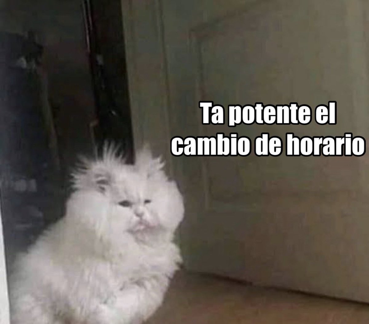 Guarromantico_'s tweet photo. https://t.co/nWooVEC8sN