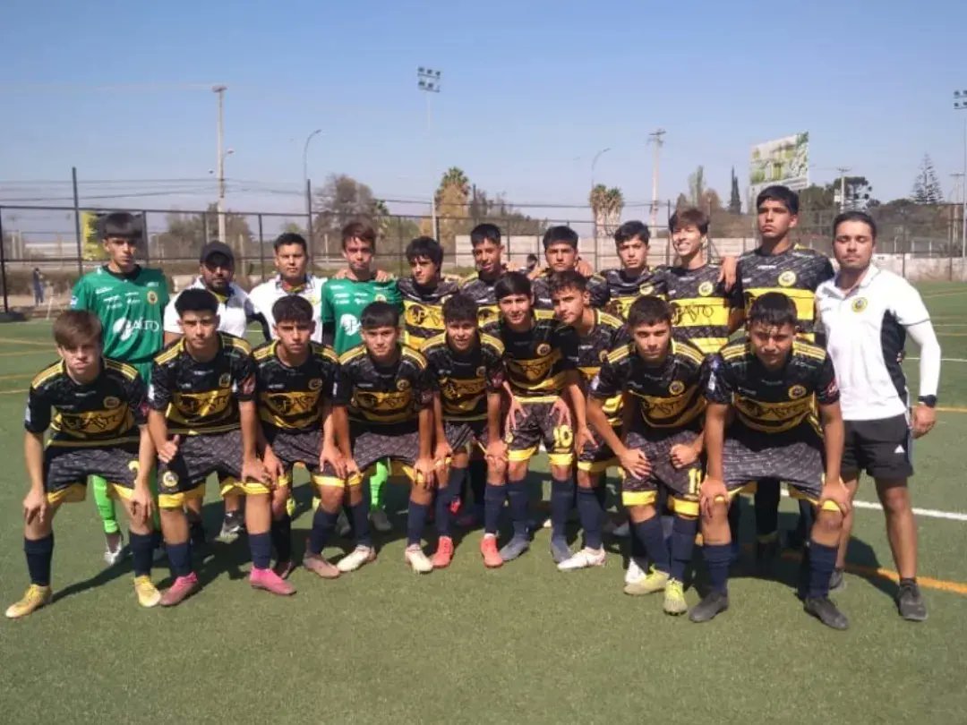 Lautaro de Buin tweet media