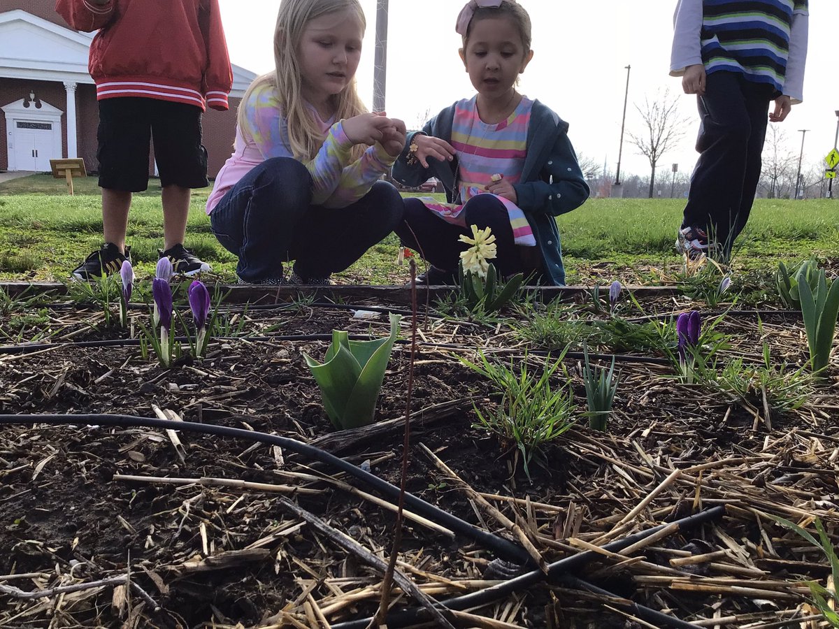 TeamHafner's tweet photo. Checking the progress of our fall planting and signs of spring!
@ParkadePanthers https://t.co/e1aUPYGx6P