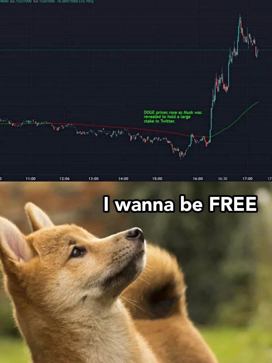 FreedomDao tweet media