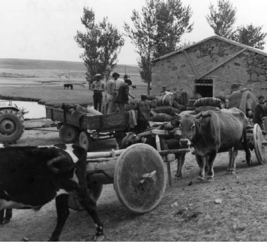 <a href="/Mustafaserpil3/">Mustafa serpil</a> <a href="/SavciSayan/">Savcı Sayan 🇹🇷</a> AĞRI, 1974
"Dün ve Bu Gün" bir arada.