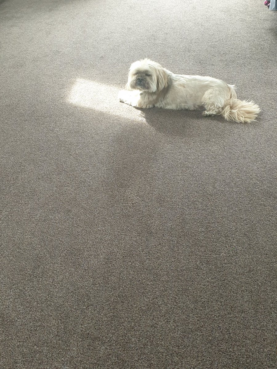 George Mears tweet media