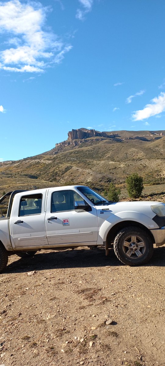 GyengeJavier's tweet photo. Muestreo de #suelo en #patagonia para analizar la capacidad de las #bacterias #metanófas en laboratorio. Esto es parte de la tesis de @eze_teran . Abro hilo.
#EcologiaForestalTandil https://t.co/D4I2D599NM