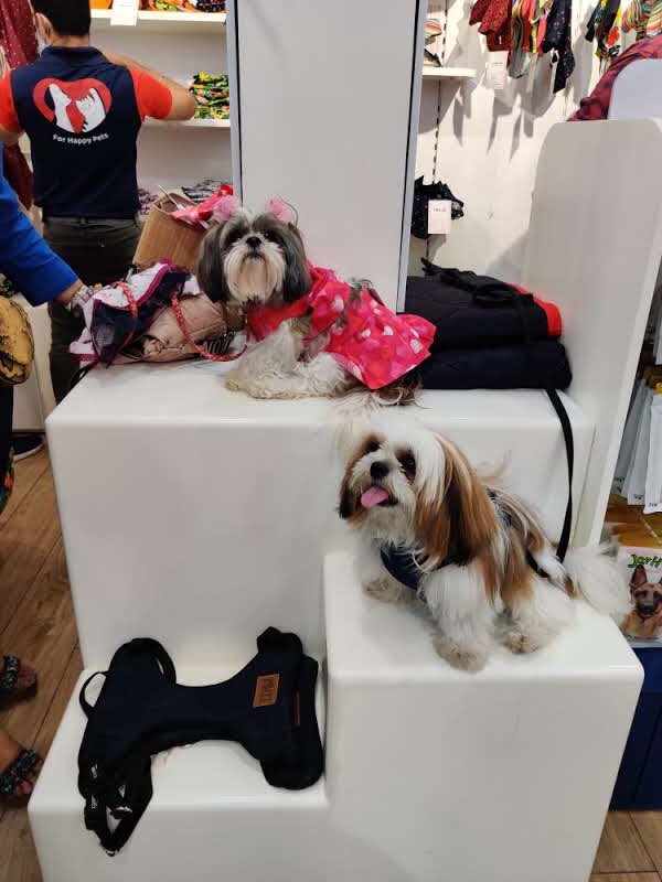 ziglyforpets's tweet photo. Meet our party puppers!
They came, sniffed, played, and had a lot of fun while adding unlimited cuteness to our store.
Photo dump toh banta hai woof!
.
.
.
#zigly #ziglyforpets #DogsofTwittter #dogsparty #pupperparty https://t.co/Cktxq90KYL
