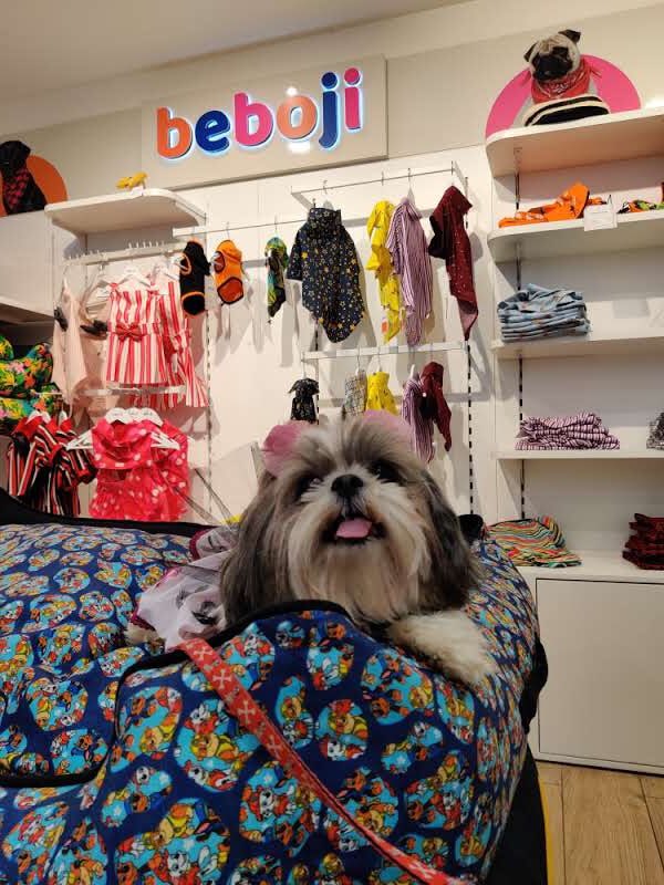 ziglyforpets's tweet photo. Meet our party puppers!
They came, sniffed, played, and had a lot of fun while adding unlimited cuteness to our store.
Photo dump toh banta hai woof!
.
.
.
#zigly #ziglyforpets #DogsofTwittter #dogsparty #pupperparty https://t.co/Cktxq90KYL