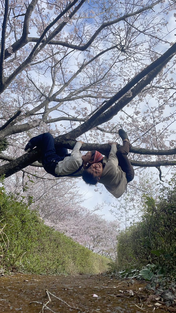 daigomoca's tweet photo. 高知県 #大月町 で
桜満開
笑顔満開の
写真が撮れました！
みんなの所は桜は咲いてる？ https://t.co/wXU6UhtSSY
