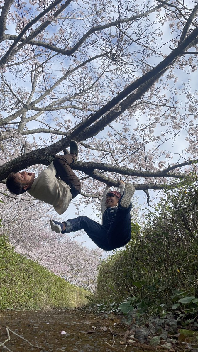 daigomoca's tweet photo. 高知県 #大月町 で
桜満開
笑顔満開の
写真が撮れました！
みんなの所は桜は咲いてる？ https://t.co/wXU6UhtSSY